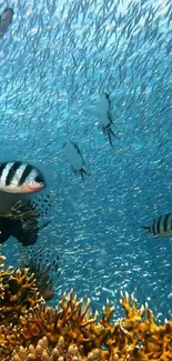 Vibrant underwater scene with fish and coral in blue ocean.