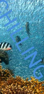 Colorful underwater scene with fish and coral reefs