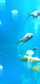 Serene ocean scene with fish and jellyfish against a vibrant blue background.