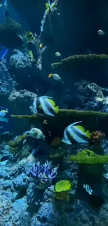 Underwater scene with colorful fish and coral in a deep blue ocean setting.