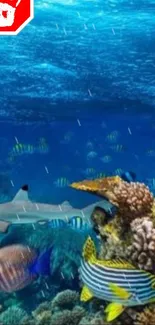 Vivid underwater wallpaper with fish, coral, and marine life in blue ocean.