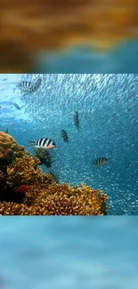 Vibrant ocean scene with fish and coral reefs, showcasing underwater beauty.