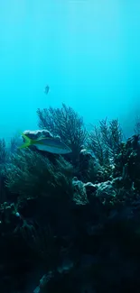 Vibrant underwater ocean wallpaper with coral and marine life.