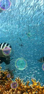 Vibrant underwater ocean scene with fish, corals, and bubbles.