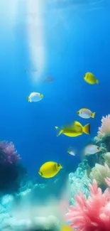 Vibrant underwater scene with coral and fish in a stunning blue ocean.