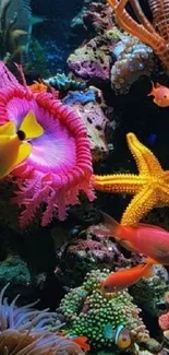 Colorful coral reef with vibrant fish and marine life.