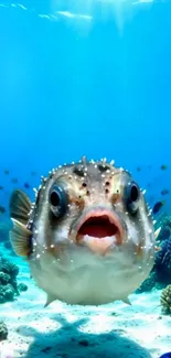 Pufferfish in vibrant underwater scene with coral and fish.