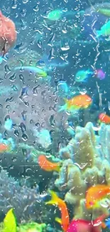 Colorful fish swim underwater with raindrops on lens.