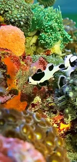 Vibrant underwater reef scene with diverse marine life.