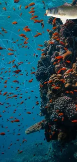 Vibrant coral reef with fish and blue ocean background.