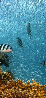 Vibrant underwater scene with coral and striped fish.