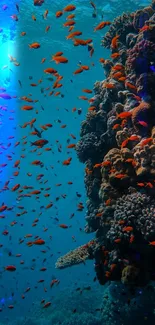 A vibrant coral reef with colorful fish underwater.