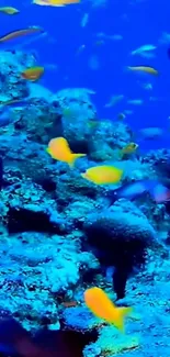 Vibrant blue ocean reef with colorful fish.