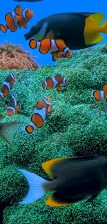 Vibrant underwater scene with clownfish and coral reef.