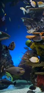 Vibrant underwater scene with colorful fish and coral reef.