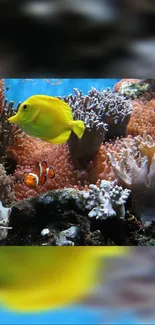 Colorful coral reef with vibrant fish.