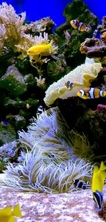 Underwater scene with colorful fish and corals on a mobile wallpaper.