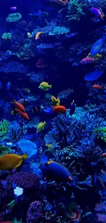 Colorful tropical fish swimming around a coral reef in a vibrant underwater scene.