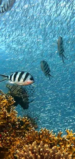 Vibrant underwater scene with coral and fish in a blue ocean.