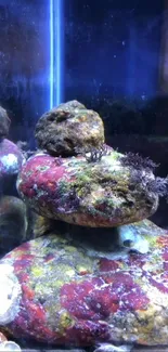 Vibrant underwater scene with colorful rocks and deep blue water.