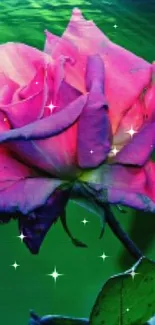 Pink rose under green underwater scene.