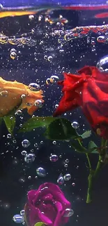 Vibrant roses submerged underwater with bubbles, rich in color contrast.