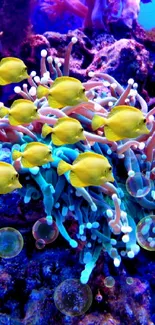 Colorful underwater scene with corals and yellow fish.