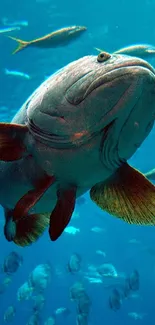 Majestic fish swimming in vibrant underwater scene with marine life.