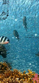 Beautiful striped fish swimming in a vibrant underwater coral reef scene.