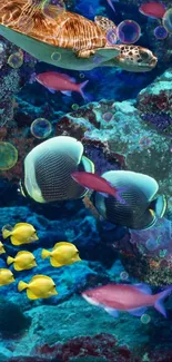 Underwater scene with colorful fish and a sea turtle in a coral reef.