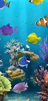 Colorful tropical fish swimming by coral reef in clear ocean water.