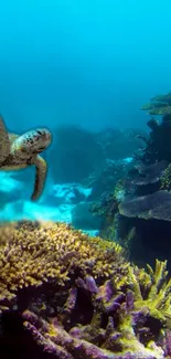 Majestic sea turtle swimming among vibrant coral reefs.