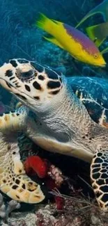 Sea turtle swimming in a colorful underwater reef.