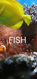 Yellow and orange fish swimming in a coral reef.