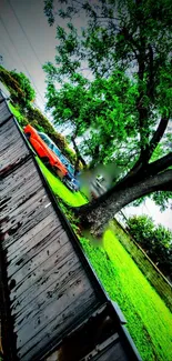 A vibrant mobile wallpaper with a green tree and vintage car beside a rustic fence.