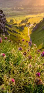 Vibrant green valley with purple wildflowers at sunset.