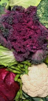 Vibrant vegetable medley wallpaper with kale, broccoli, and cabbage.