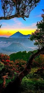 Vibrant volcanic landscape with sunset and trees.