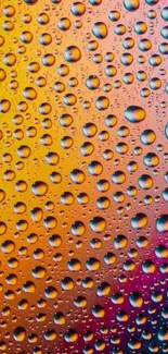 Colorful water droplets on an orange gradient background.