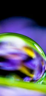 Close-up of vibrant water droplet with violet hues on a colorful surface.