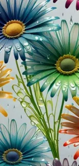 Colorful daisy flowers with water droplets on petals.