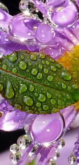 Close-up of a green leaf with dewdrops over a vibrant purple flower.