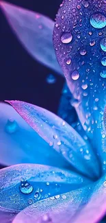 Vibrant blue and purple petals with water droplets.