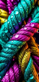 Colorful ropes with water droplets close-up.
