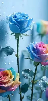 Vibrant rainbow roses with water droplets.