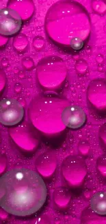 Vibrant pink water droplets on a textured background.