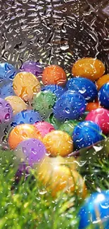 Colourful Easter eggs with water droplets on glass.