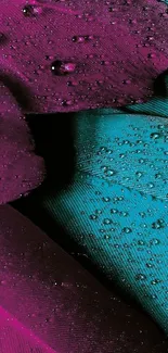 Colorful water droplets on purple and teal feathers wallpaper.