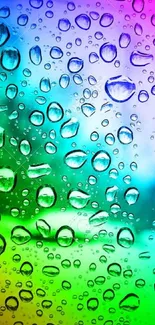 Colorful water droplets on gradient wallpaper background.