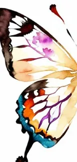 Vibrant watercolor butterfly with colorful wings on a white background.